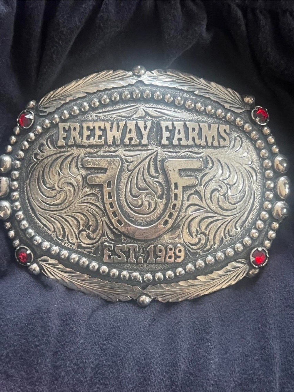 Freeway Silver-Tone Western Unisex Belt Buckle w
Red Stones CoquetteBoho Western